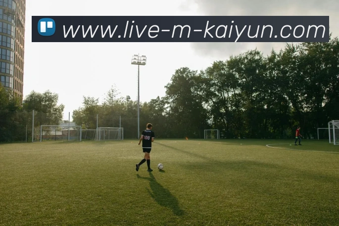 开云平台生态图